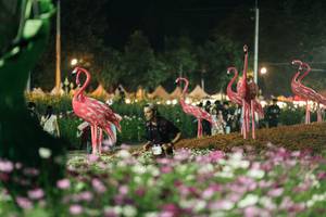 BIB: 
                            <button type="button" onclick="openModal(27337324)" class="btn btn-primary btn-sm float-right btn-popup" data-toggle="modal" data-target=".modal-high-quality">
                        <i class="fas fa-shopping-cart"></i> Add to Cart
                    </button>
                                            <button type="button" onclick="isThisMe(27337324, true)" class="btn btn-success btn-sm float-right btn-popup btn-isme hidden" data-toggle="tooltip" data-placement="bottom" title="นี่คือรูปของคุณใช่ไหม คลิกที่นี่เพื่อเอาเข้าอัลบั้ม">
                        <i class="fas fa-plus"></i> Add to album
                    </button>
                    <button type="button" onclick="isThisMe(27337324, false)" class="btn btn-warning btn-sm float-right btn-popup btn-isnotme hidden">
                        <i class="fas fa-ban"></i> Remove from album
                    </button>